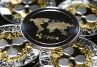XRP Falls 11% In Rout